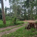 Terreno à venda na Chácara das Corujas