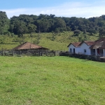 FAZENDA 8 ALQUEIRES MUNICIPIO SANTA ISABEL CULTURA