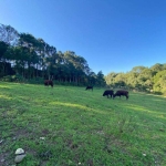 Sítio à venda, 1 quarto, São Luis de Castro - Carlos Barbosa/RS