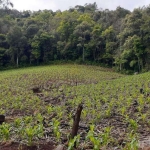 Terreno à venda, Arco Verde - Carlos Barbosa/RS