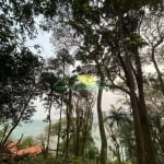 Oportunidade Rara: Área de 17.000M² | Ideal para Projeto Ecológico, Caieira da Barra do Sul em Flor