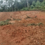 Terreno para Venda em Cotia, Grilos