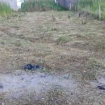 Terreno para Venda em Itanhaém no bairro Ivoty