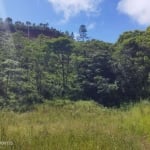 VENDO LINDA PROPRIEDADE COM CACHOEIRA EM MONTEIRO LOBATO-SP