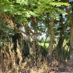 Terreno em Bairros em Araçoiaba da Serra