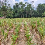 Terreno em Bairros em Araçoiaba da Serra