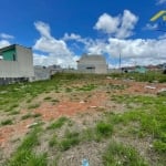 Terreno à venda, 180 m² por R$ 260.000,00 - Alto Tarumã - Pinhais/PR