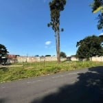 Terreno de Esquina à venda, 450 m² por R$ 255.000 - Guarituba - Piraquara/PR