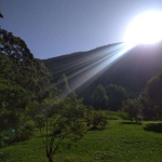 Terreno - Florianópolis SC