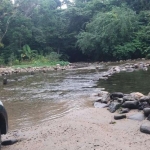 Casa 2 dormitórios para Venda em São Sebastião, Sertão do Camburi, 2 dormitórios, 1 banheiro, 2 vagas