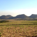 Fazenda com 1 sala à venda na Av, R. Francisco Antônio Mafra Santo Antônio da Alegria - SP,000, 1985, Centro, Santo Antônio da Alegria