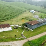 Fazenda à venda,6848600.00 m , Colônia Murici, SAO JOSE DOS PINHAIS - PR