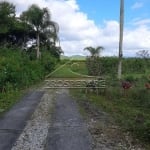 Chácara / sítio com 4 quartos à venda na Estrada João Januário da Silva, 3000, Vargem Pequena, Florianópolis