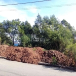 Terreno à venda na Rua Amélia Pinguella Bonatto, 5529, São Luiz, Caxias do Sul