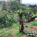 Terreno à venda na Rua Orestes Zoppas, 8, Charqueadas, Caxias do Sul