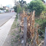 Terreno à venda na Rua Treze de Junho, 450, São Cristóvão, Caxias do Sul