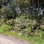 Terreno à venda na Estrada Municipal Attílio Citton, 5, Santo Antônio, Caxias do Sul