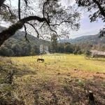 Terreno à venda na Rota do Sol, 52, Fazenda Souza, Caxias do Sul