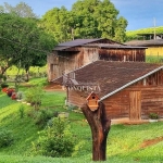 Chácara / sítio com 2 quartos à venda na Travessa Santa Rita, 160, São Pedro da Terceira Légua, Caxias do Sul