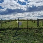 Terreno à venda na 21 de abril, 1, Campo do Meio, São Francisco de Paula