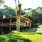 Casa em condomínio fechado com 4 quartos para alugar na Geral da Praia da Ferrugem, 3187, Capão, Garopaba