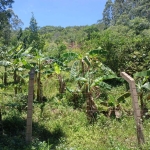 Terreno em condomínio fechado à venda na Geral da Ressacada, 1500, Ressacada, Garopaba