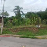 Terreno à venda na Rua Fredolino Valentin Zardin, 001, Salgado Filho, Caxias do Sul