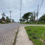 Terreno à venda na Ciro Luiz Pansera, 3, Cidade Nova, Caxias do Sul