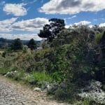 Terreno à venda na Florêsvaldo José do Canto, 001, Nossa Senhora das Graças, Caxias do Sul