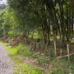 Terreno à venda na Avenida Capivari, 09, Serrano, Caxias do Sul