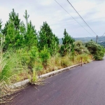 Terreno à venda na Rua Irma Pienegonda Bettega, 13, São Giácomo, Caxias do Sul