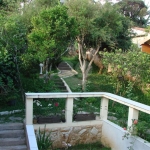 Linda casa no Horto Florestal com 500m² de terreno muito verde e pomar