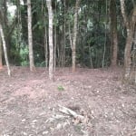 Terreno com 410m2, no Parque Itaguaçu da Cantareira, pouco aclive, árvores parcialmente removidas.