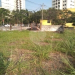 Terreno-São Paulo-VILA ROMANA | Ref.: REO296420