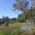 Rural - Comercial, para Aluguel em Ferraz de Vasconcelos/SP