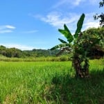 Sítio para Venda em Itaboraí, Centro (Sambaetiba), 2 dormitórios, 1 banheiro