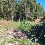 Terreno à venda, 5800 m² por R$ 640.000,00 - Jardim Colonial - Jundiaí/SP