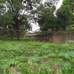 Terreno Residencial à venda, Condomínio Portal dos Ipês, Ribeirão Preto - TE0004.