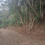 Terreno à venda na Estrada Rozália Paulina Ferreira, 2923, Pântano do Sul, Florianópolis