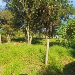 Terreno à venda na Estrada Geral Do Alto Arroio, 5, Ibiraquera, Imbituba