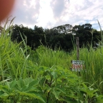 Terreno à venda na Servidão das Águias, 201, Campeche, Florianópolis