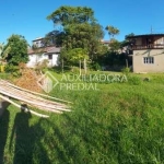 Terreno à venda na Servidão Carlota Maria Martins das Chagas, 122, Rio Tavares, Florianópolis