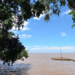 Vendo casa construída em meio a muito verde, natureza e acesso direto ao Guaíba, em Porto Alegre