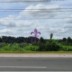 Terreno comercial no Centro de Colombo