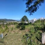 Terreno à venda, 450 m² por R$ 1.219.000,00 - Itacorubi - Florianópolis/SC