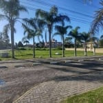 Terreno à venda, 600 m² por R$ 1.000.000,00 - Canasvieiras - Florianópolis/SC