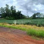 Terreno comercial à venda na RSC-453, 2, Floresta, Lajeado