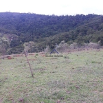 LOTE À VENDA/ PARQUE DO CAETÊ/ BRAGANÇA PAULISTA