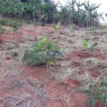 LOTE À VENDA/ PARQUE DO CAETÊ/ BRAGANÇA PAULISTA