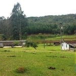 Sítio com 2 dormitórios à venda, 333960 m² por R$ 7.000.000,00 - Areia Branca - Mandirituba/PR